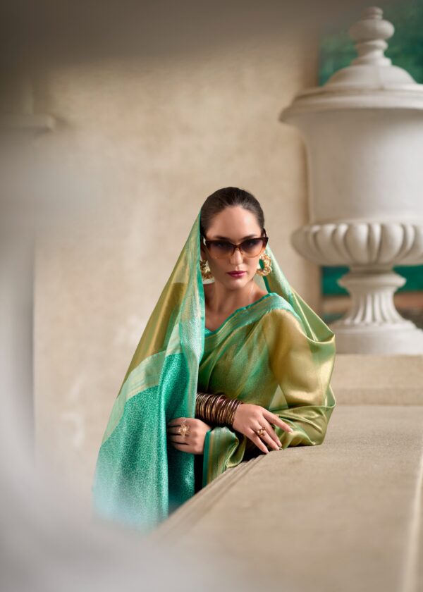 Titan Silk Saree with Designer Pallu and Blouse by RajPath Fabrics